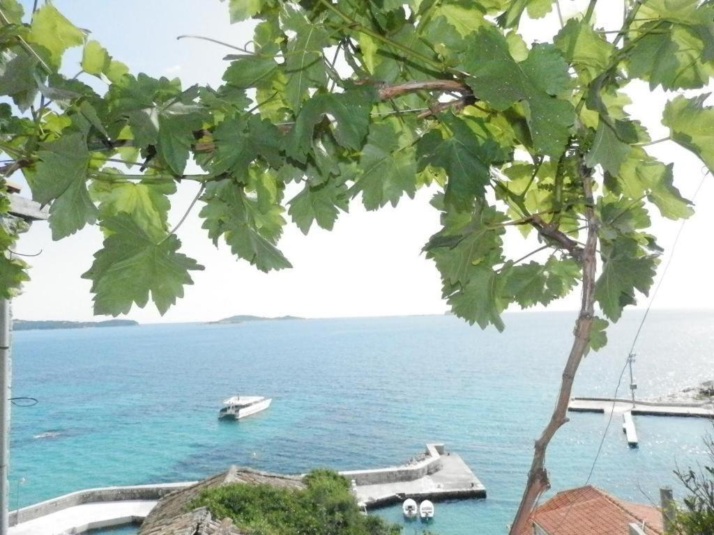 Villa Soti Mlini Εξωτερικό φωτογραφία