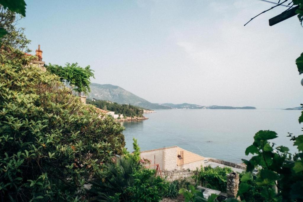 Villa Soti Mlini Εξωτερικό φωτογραφία