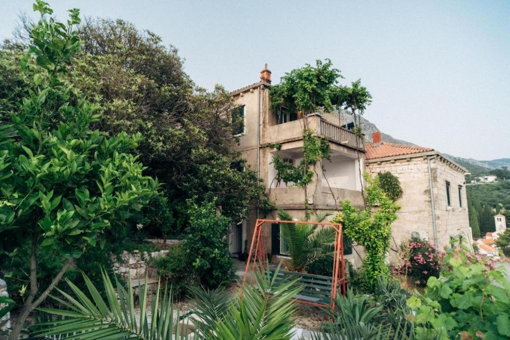 Villa Soti Mlini Εξωτερικό φωτογραφία