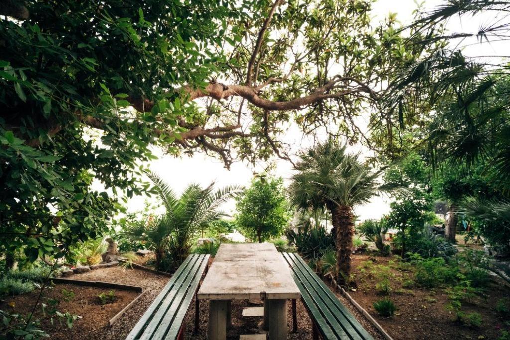 Villa Soti Mlini Εξωτερικό φωτογραφία